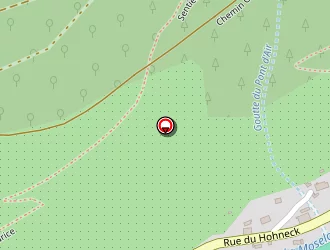 Carte de Ledent Peru Danielle à Bresse (la)