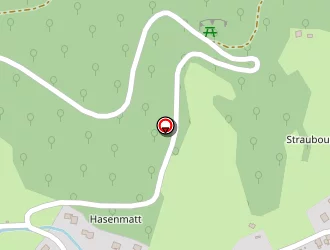 Carte de Rieg Rémy à Wasserbourg