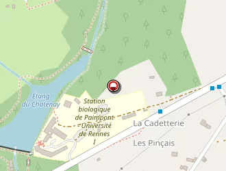 Carte de Bessette-castes Katia à Paimpont