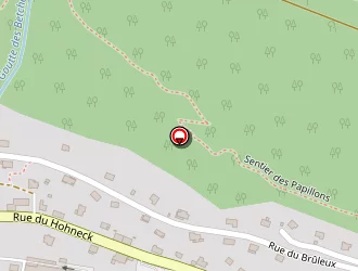 Carte de Bol D'air à Bresse (la)