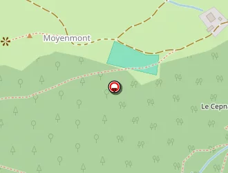 Carte de Dodin Yves à Bresse (la)