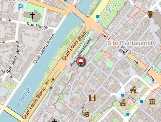 Carte de Richou Voyages à Mans (le)