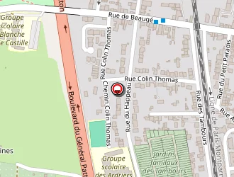 Carte de Blin Patrice à Mans (le)