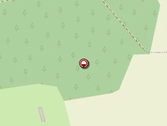 Carte de Briffault Gérard à Chassillé