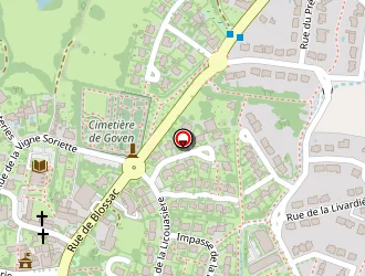 Carte de Leroy à Goven