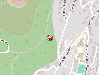 Carte de Triax à Remiremont