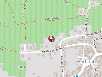 Carte de Goldstein Thierry à Hattstatt