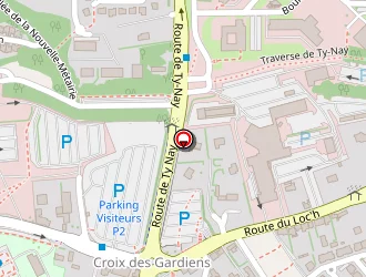 Carte de Le Coz Nicolas à Quimper