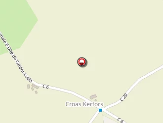 Carte de Petillon Gildas à Elliant