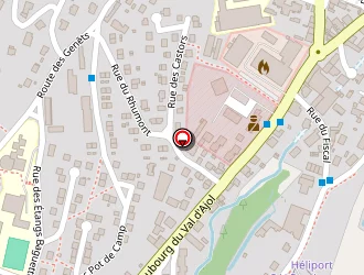 Carte de Michèle Petitcolin à Remiremont