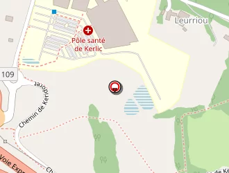 Carte de Petro 29 S à Quimper