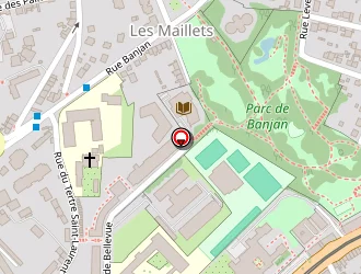 Carte de Anais à Mans (le)