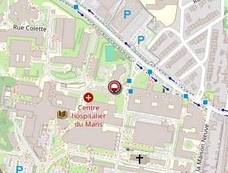 Carte de Pressing éclair à Mans (le)