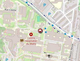 Carte de Speed Burger à Mans (le)