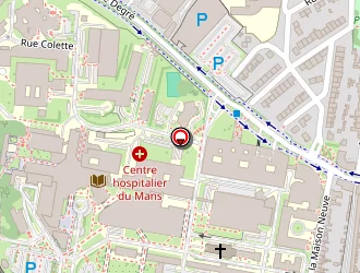 Carte de Cabello Elsa à Mans (le)