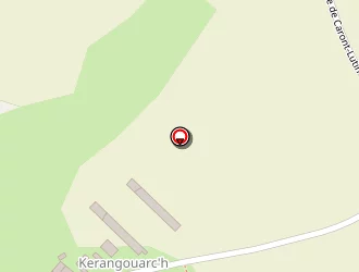 Carte de Cotten Yves à Elliant