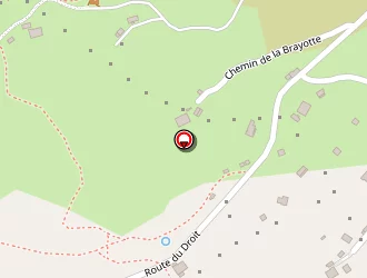 Carte de Struss Jacques à Bresse (la)