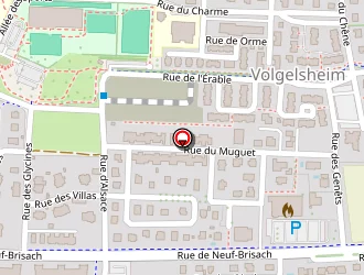 Carte de Latuner Diane à Volgelsheim