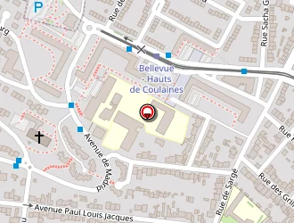 Carte de Patard Coupes à Mans (le)