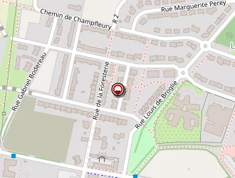 Carte de Studeffi à Mans (le)