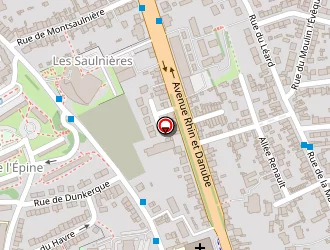 Carte de Hypolite Nicolas à Mans (le)