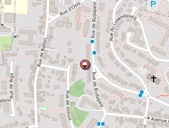 Carte de Verrier Electricité à Mans (le)