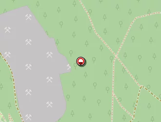 Carte de Bicard Gérard à Saint-amé