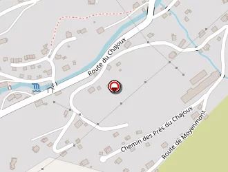 Carte de Mougel Guy à Bresse (la)