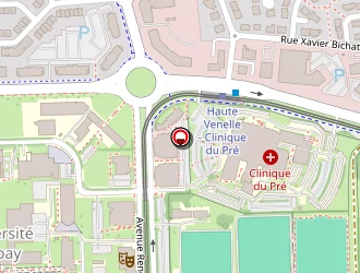 Carte de Guérif à Mans (le)