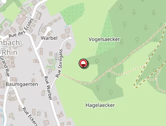 Carte de Muller Patrick à Breitenbach-haut-rhin