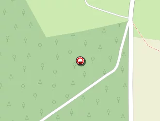 Carte de Leveille Emmanuel à Forcé