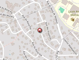 Carte de Babel Dominique à Remiremont