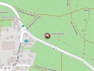 Carte de Baur A.l. à Vœgtlinshoffen