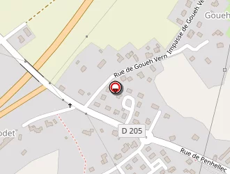 Carte de Le Lézard à Saint-thuriau