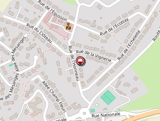 Carte de Fromentin Pascal à Coulans-sur-gée