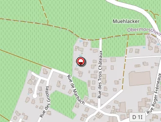 Carte de Meyer Yvonne à Vœgtlinshoffen