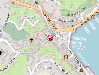 Carte de Myosotis à Audierne