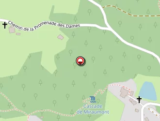 Carte de Rougieux Aurélien à Saint-étienne-lès-remiremont