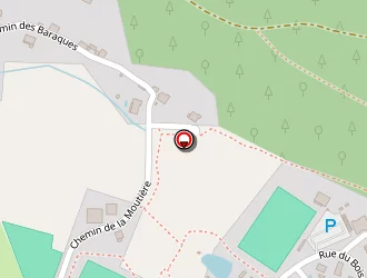 Carte de Sporteo à Saint-étienne-lès-remiremont