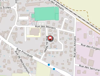 Carte de Elsass Controle Technique à Wolfgantzen