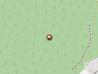 Carte de Sidre Patrick à Bellefontaine