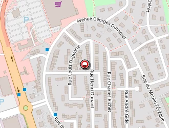 Carte de Touillet Gildas à Mans (le)