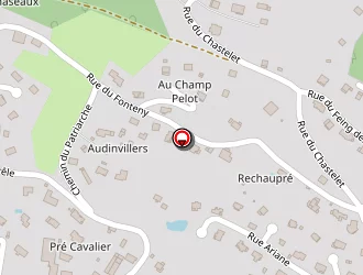 Carte de Richard Granit à Vagney