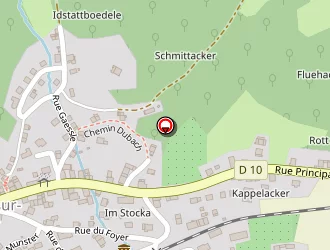 Carte de Hannauer Christophe à Muhlbach-sur-munster