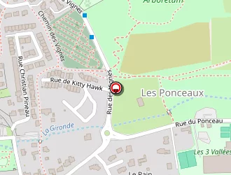 Carte de Borel Vincent à Coulaines