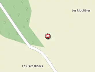 Carte de Raisin Francis à Cussangy