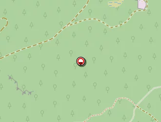 Carte de Foyer Tremplin à Saint-amé