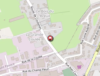 Carte de Alpha-service à Coulaines