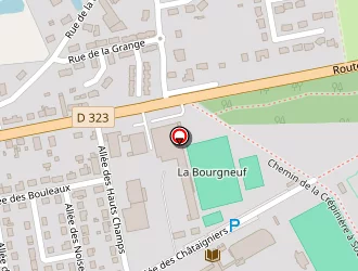 Carte de Rousseau Mélanie à Saint-mars-la-brière