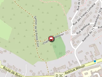 Carte de Briane Patrick à Saint-julien-du-sault